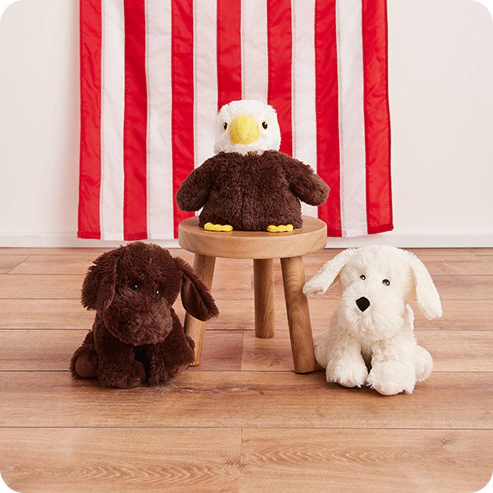 CHOCOLATE LABRADOR WARMIES 12"